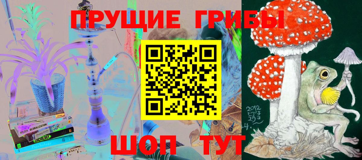 Галлюциногенные грибы Cubensis Карабулак