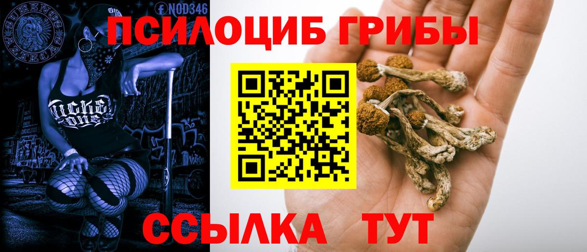 купить  цена  Вход с VPN  Карабулак  Псилоцибиновые грибы Psilocybine cubensis 